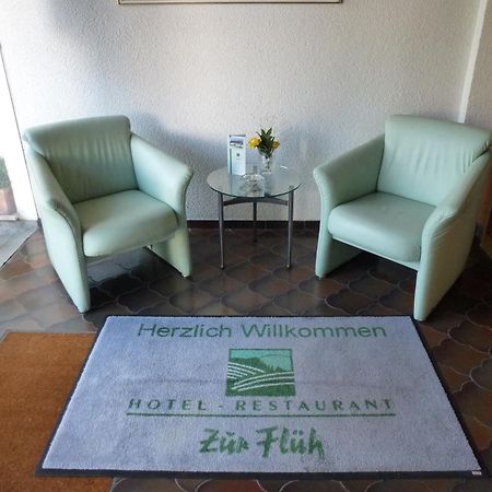 Hotel Zur Flueh Bad Sackingen Ngoại thất bức ảnh