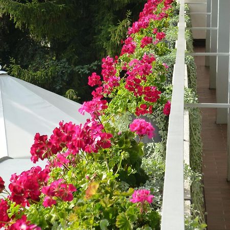 Hotel Zur Flueh Bad Sackingen Ngoại thất bức ảnh